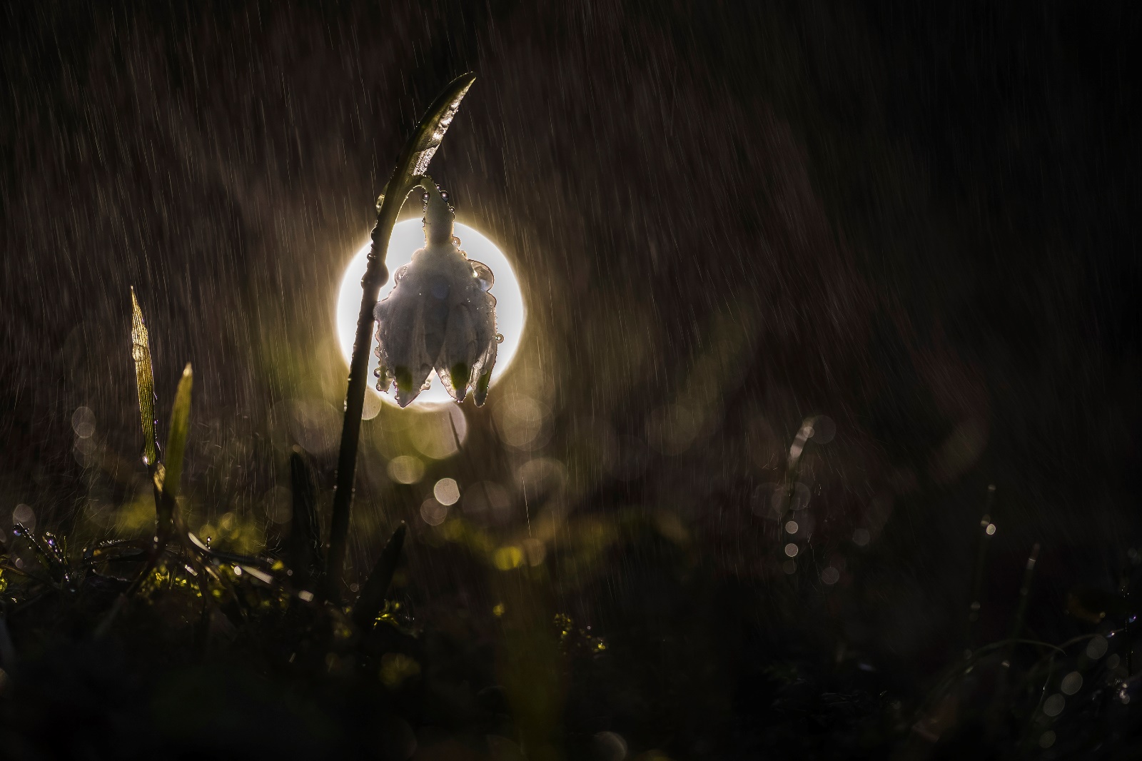 Monatsbilder April 2018